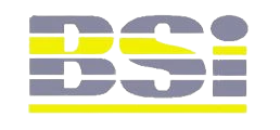 BSI-removebg-preview